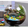 Các loại khác nhau Bình thủy tinh trong nhà trong suốt Terrarium